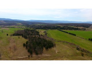 Property photo 7 - LAND AUCTION - 533+/- ACRES OFFERED IN 5 TRACTS IN HARDY COUNTY, WEST VIRGINIA